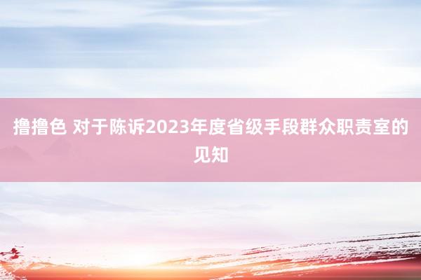 撸撸色 对于陈诉2023年度省级手段群众职责室的见知