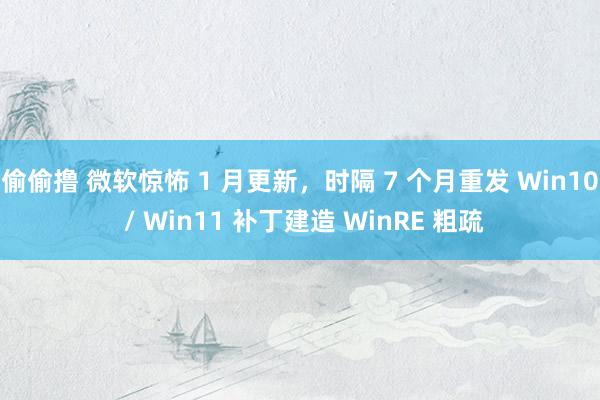 偷偷撸 微软惊怖 1 月更新，时隔 7 个月重发 Win10 / Win11 补丁建造 WinRE 粗疏