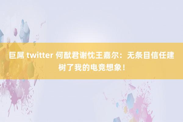 巨屌 twitter 何猷君谢忱王嘉尔：无条目信任建树了我的电竞想象！