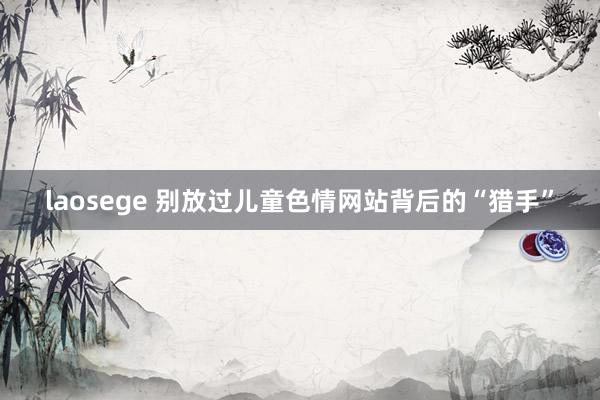 laosege 别放过儿童色情网站背后的“猎手”