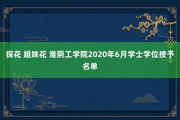 探花 姐妹花 淮阴工学院2020年6月学士学位授予名单