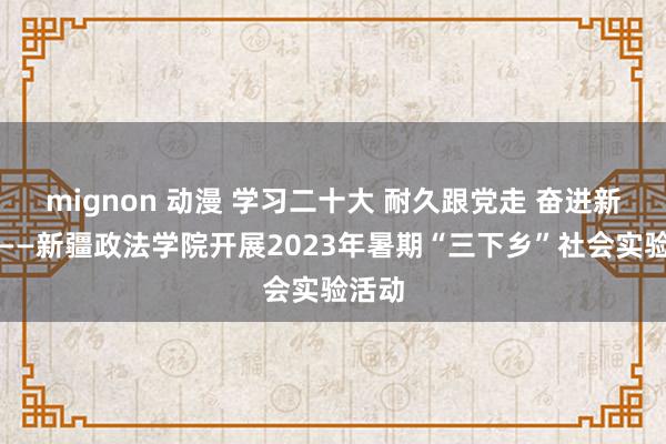 mignon 动漫 学习二十大 耐久跟党走 奋进新征途——新疆政法学院开展2023年暑期“三下乡”社会实验活动