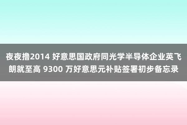 夜夜撸2014 好意思国政府同光学半导体企业英飞朗就至高 9300 万好意思元补贴签署初步备忘录