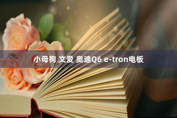 小母狗 文爱 奥迪Q6 e-tron电板