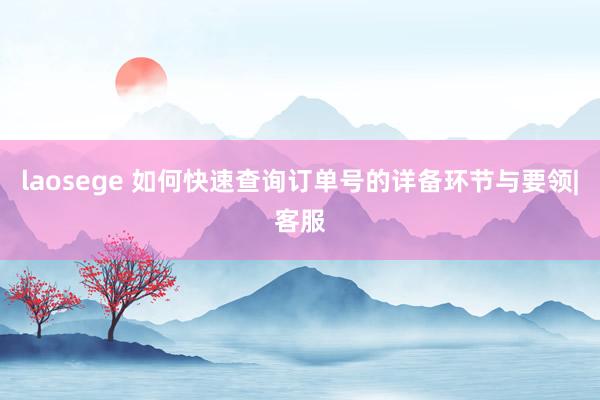 laosege 如何快速查询订单号的详备环节与要领|客服