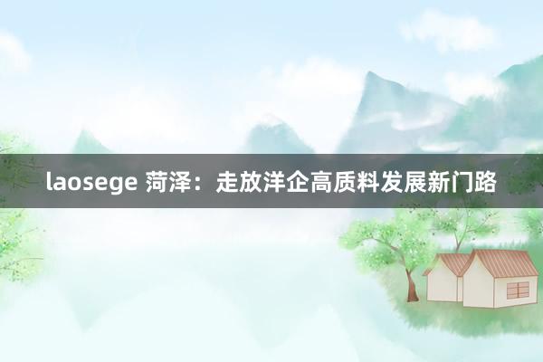 laosege 菏泽：走放洋企高质料发展新门路