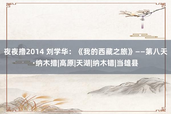 夜夜撸2014 刘学华：《我的西藏之旅》——第八天·纳木措|高原|天湖|纳木错|当雄县