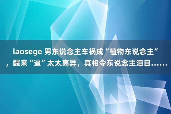 laosege 男东说念主车祸成“植物东说念主” ，醒来“逼”太太离异，真相令东说念主泪目……