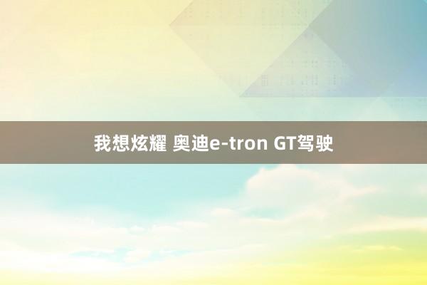 我想炫耀 奥迪e-tron GT驾驶