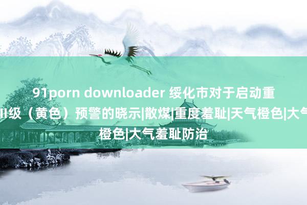 91porn downloader 绥化市对于启动重羞耻天气Ⅲ级（黄色）预警的晓示|散煤|重度羞耻|天气橙色|大气羞耻防治