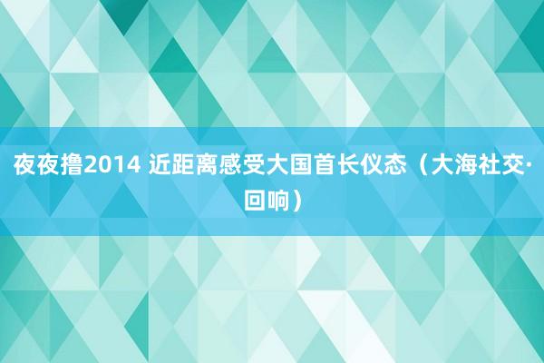 夜夜撸2014 近距离感受大国首长仪态（大海社交·回响）