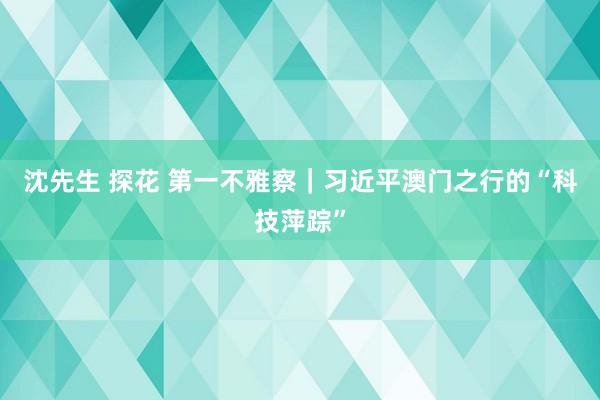 沈先生 探花 第一不雅察｜习近平澳门之行的“科技萍踪”