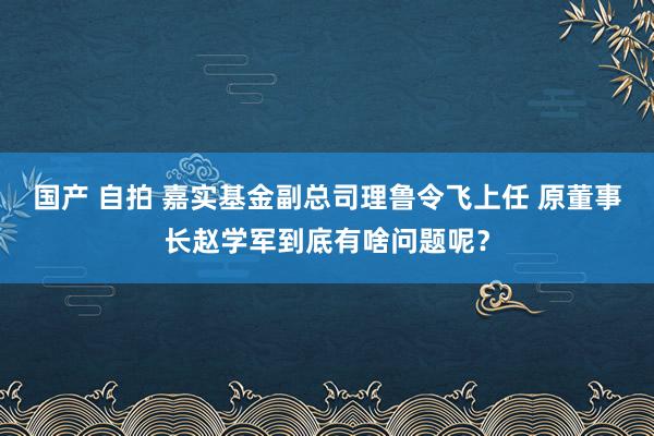 国产 自拍 嘉实基金副总司理鲁令飞上任 原董事长赵学军到底有啥问题呢？