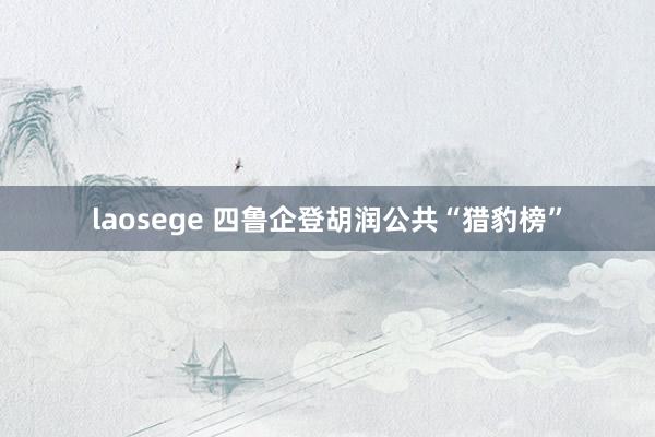 laosege 四鲁企登胡润公共“猎豹榜”