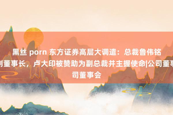 黑丝 porn 东方证券高层大调遣：总裁鲁伟铭任副董事长，卢大印被赞助为副总裁并主握使命|公司董事会