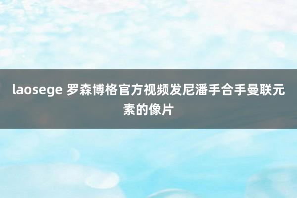 laosege 罗森博格官方视频发尼潘手合手曼联元素的像片